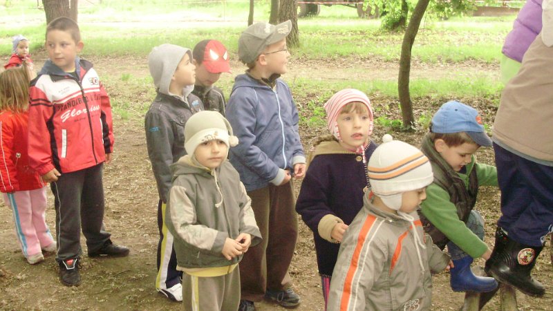 2011 05 02 Vadaspark 071.jpg